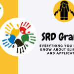 Ultimate SRD Grant 2025 Guide: Everything You Need to Know About Eligibility and Application